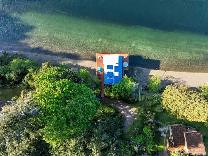 Beach front plus privacy provided by the trees.