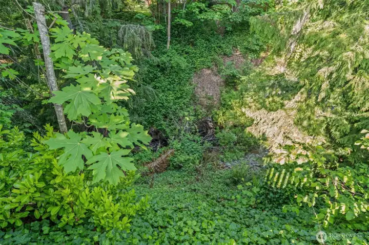 Green belt with seasonal creek