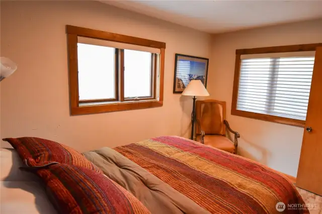 Lower Level Bedroom