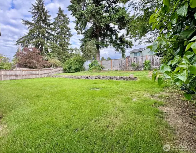 Spacious backyard