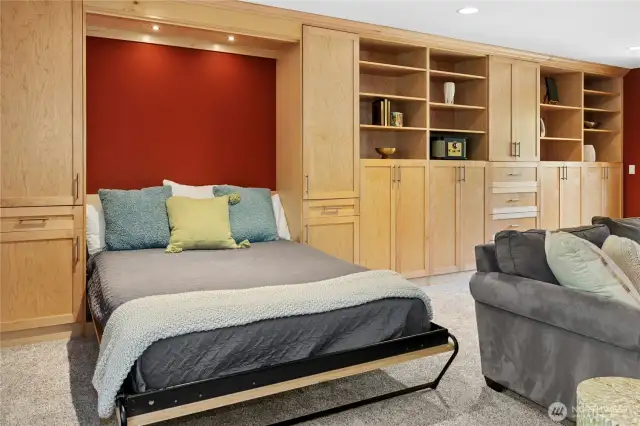 Murphey Bed and loads of storage in the Large Bonus Room
