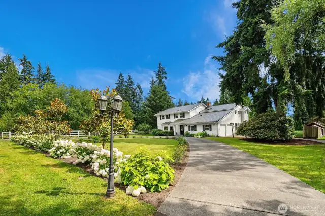 Grand u-shaped driveway lined with mature & blooming hydrangeas
