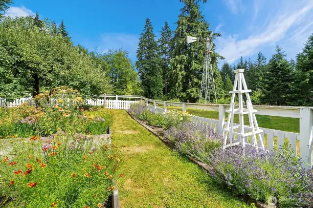 Lush garden beds
