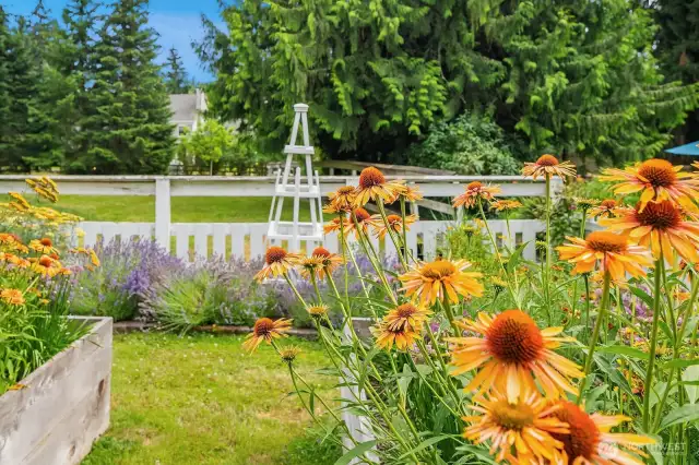 Flowers galore - a gardener's dream yard! Imagine fresh cut flowers from your garden!