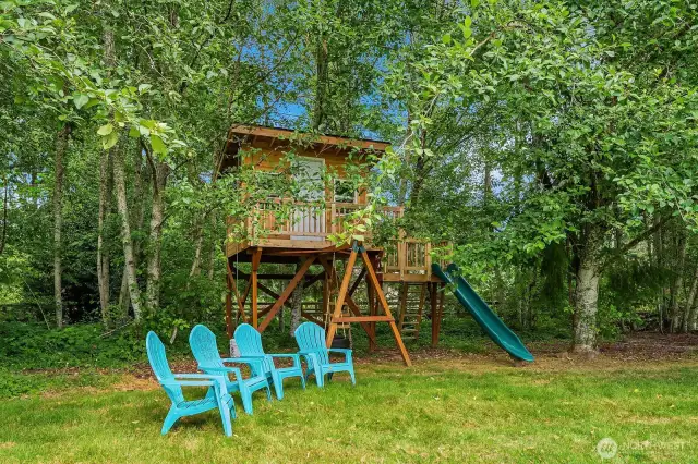 New built-out tree house & play set