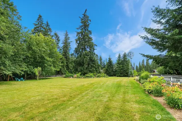 Serene pasture field