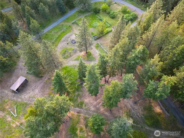 Garden and Fruit Trees