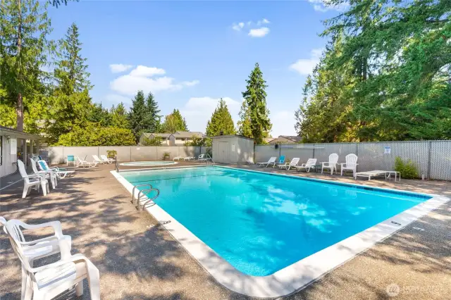 Condo Association's pristine pool.