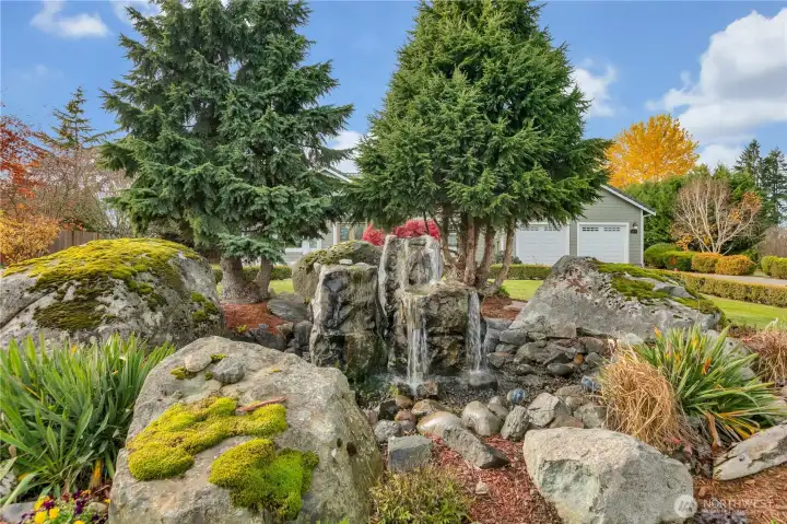 Front Yard Water Feature!