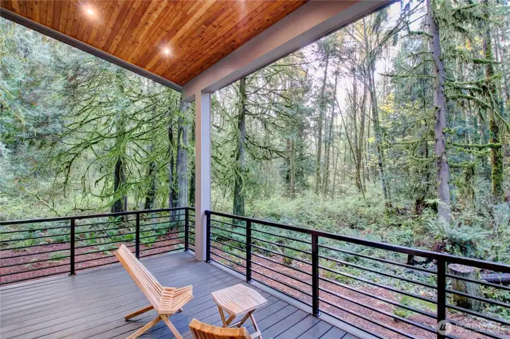 Large and private covered deck at the rear of the home - overlooking forest.