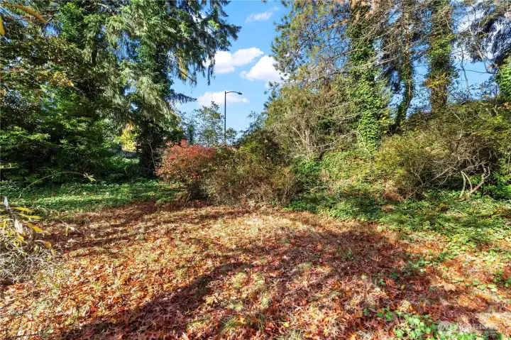 Flat area on the lot