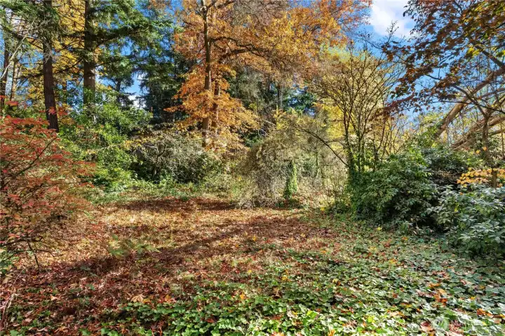 Flat area on the lot