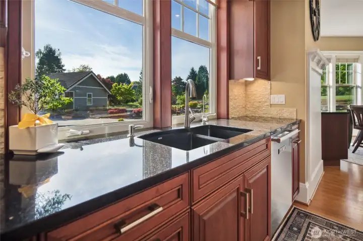 View out kitchen window