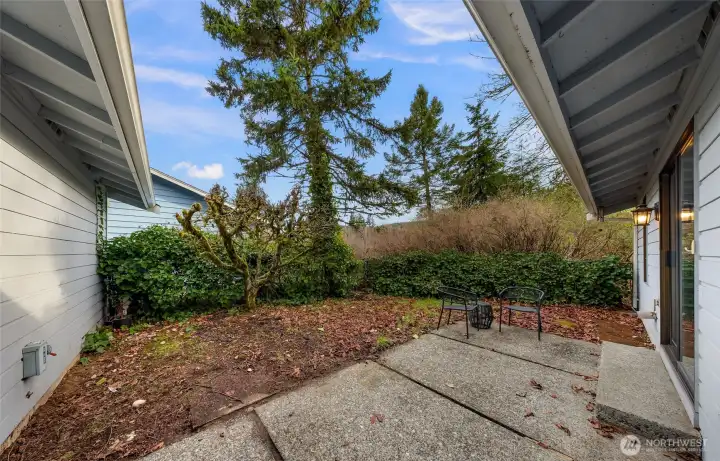 Enjoy the fruit tree in the back yard.