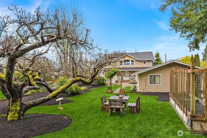 The level backyard includes fruit trees and an enclosed area with raised garden beds.