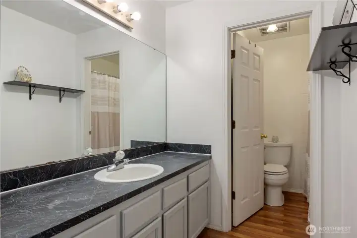 Hall bathroom