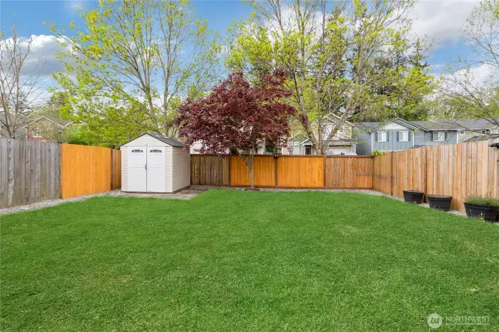 Backyard is fully fenced with extra storage shed