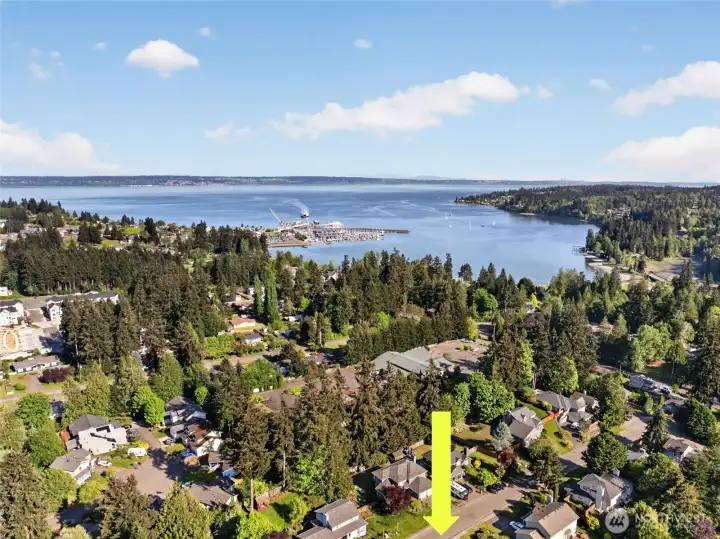 15-20 Min Walk to Edmonds or Seattle Speed Ferry