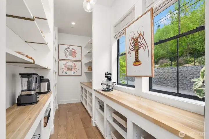 Storage galore! Massive pantry tucked away to house all of your kitchen prep appliances, placemats and extra sets of china and glasses.