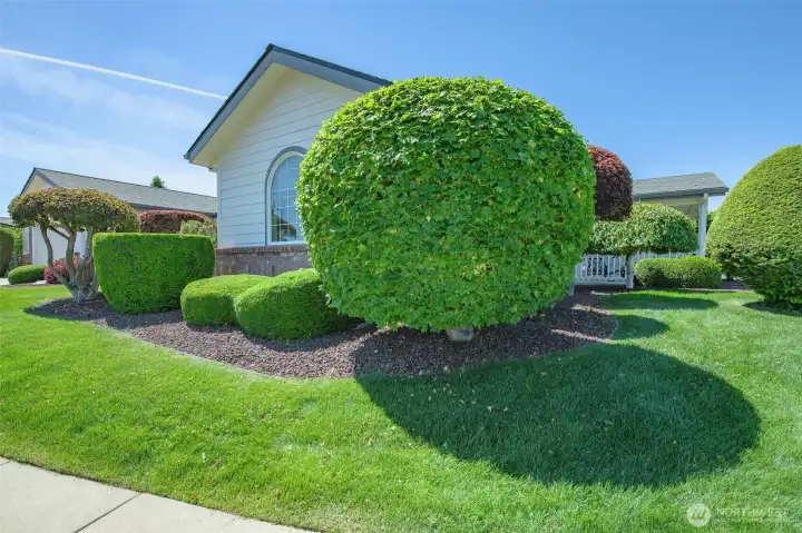 Manicured landscape is maintained affordably by Cousins