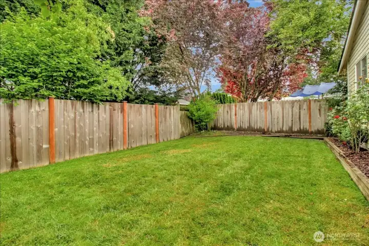 Plenty of space in the fully fenced backyard for your pups or for playing! Plenty of space in the fully fenced backyard for your pups or for playing!
