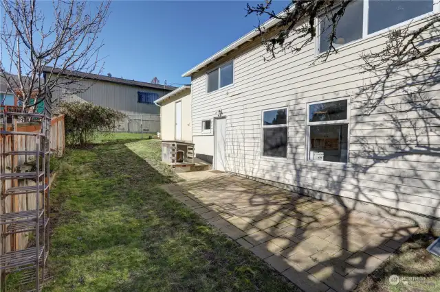 Patio and back yard