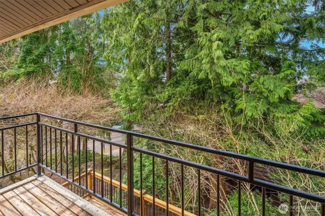 Balcony off the bonus/rec room.