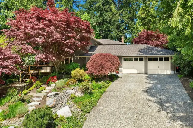 Welcome home! This lush curated garden welcomes you.