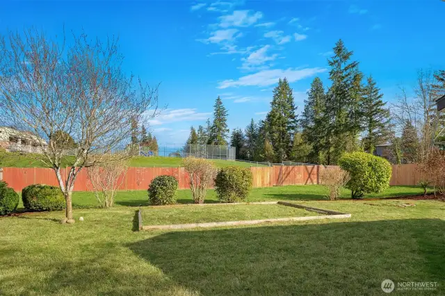 Back yard