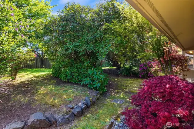 You'll love this amazing back yard!