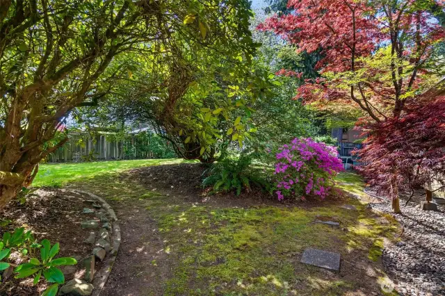 Lush, mature vegetation