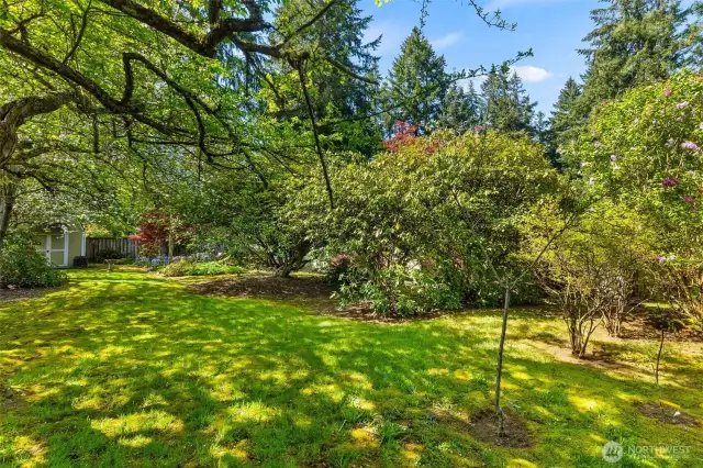 Back yard is truly a peaceful space.