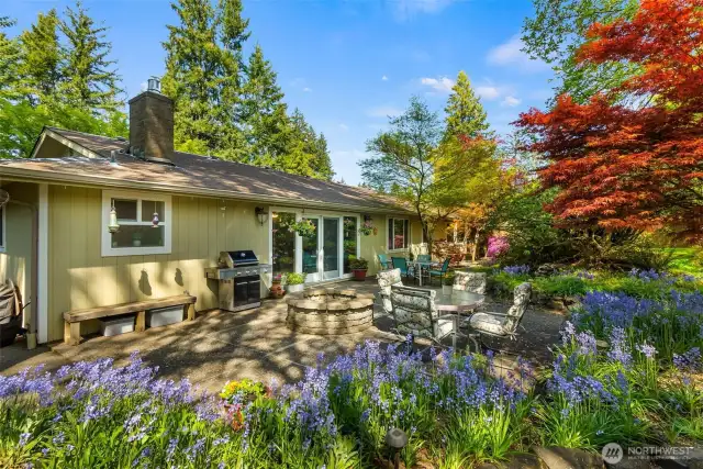 Back yard facing home