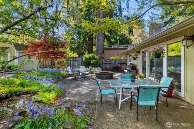 Back yard entertaining space, right off the family room. Garden shed is visible to the left.