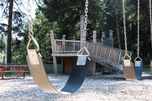 Activity Area
