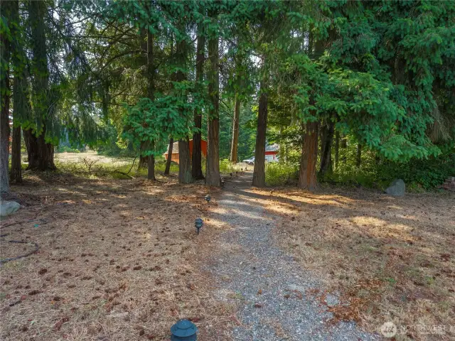Trails throughout the trees on the property.