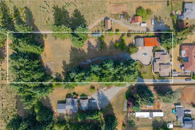 Incredible oasis on nearly 2 level acres, bordered by a tree farm on two sides!