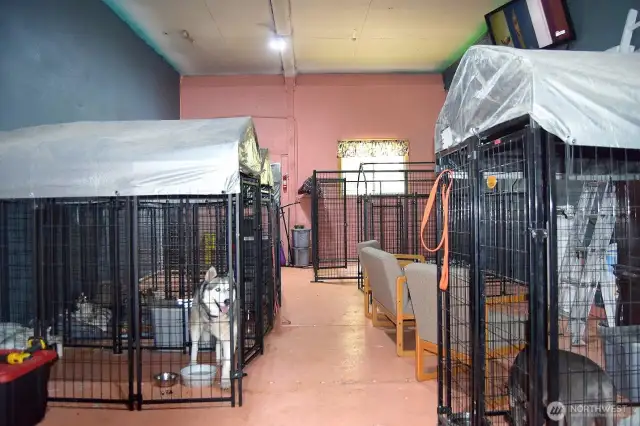 Shop Kennel