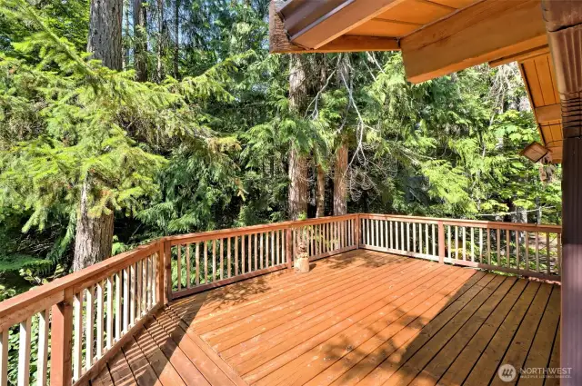 Gorgeous full length deck overlooking the scenery.
