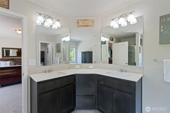 dual sinks