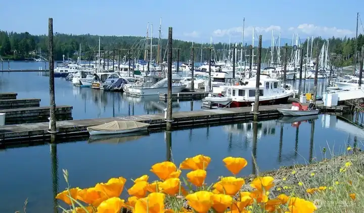 Marina with boat moorage and kayak rentals and storage