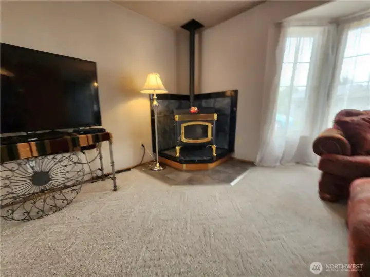 Pellet stove
