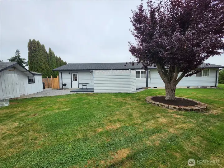 Back of house and large yard