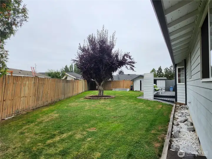 Back deck tucked behind privacy wall