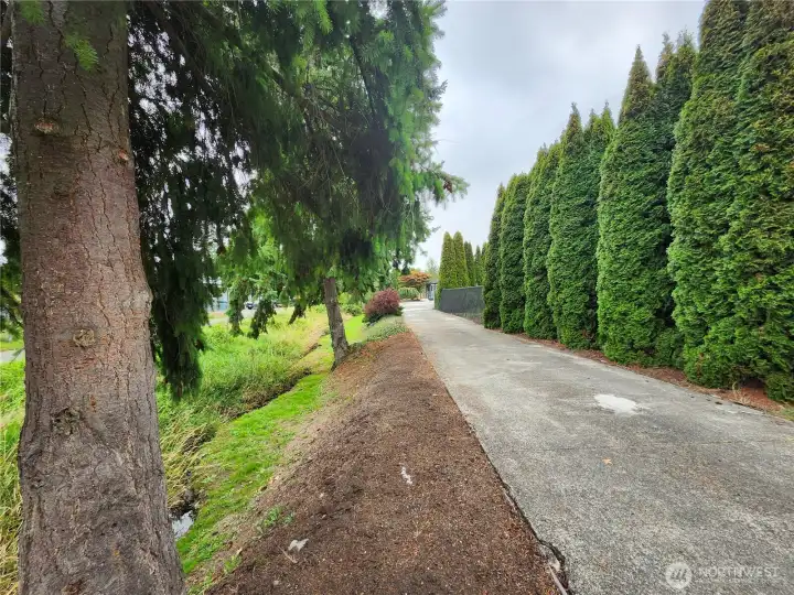 Long drive way