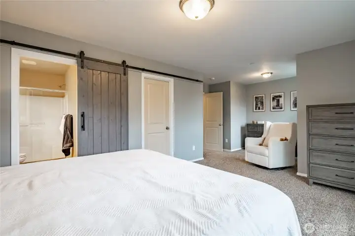 Primary ensuite alternate view—look at the size!