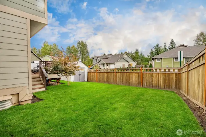 Fresh new sod in your fully fenced backyard!
