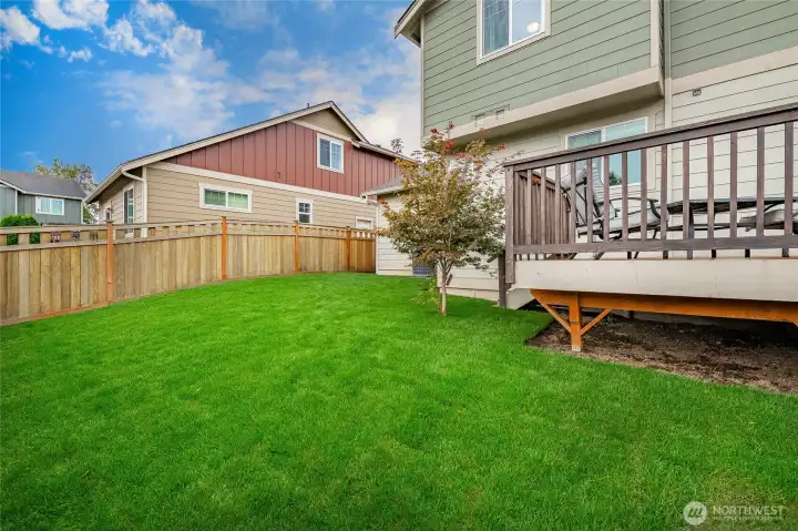 view of backyard #2