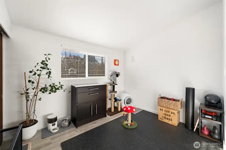 South facing bedroom.