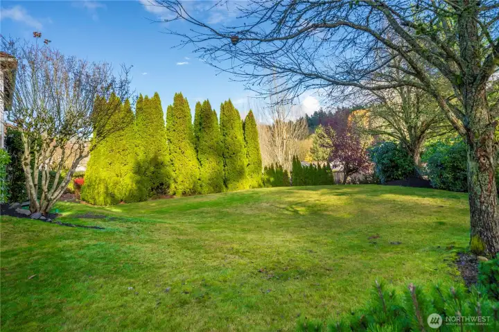 LOOK at this huge side yard!!! It has to be the biggest one you've seen!